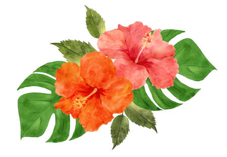 Watercolor hibiscus flowers and leaves. Hand drawn illustrationの写真素材
