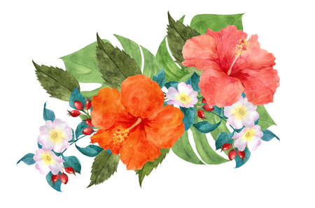 Watercolor illustration of Hibiscus flowers, leaves and berries.の写真素材
