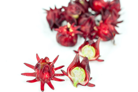 Hibiscus sabdariffa or roselle fruitsの写真素材