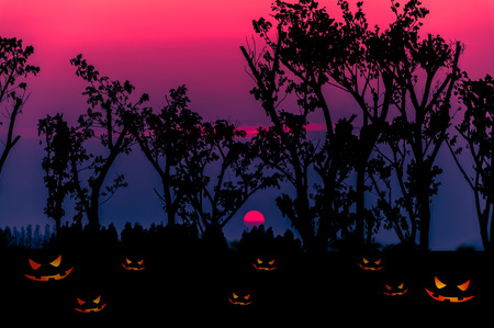 Halloween background with silhouettes treeの写真素材