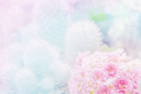 Closeup Flowers with Soft Focus Color Filtered as Background.