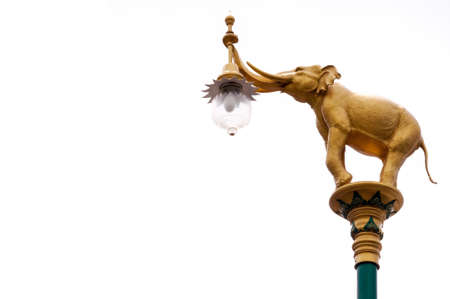 Golden elephants on street lamp post isolate on white background,Thailandの写真素材