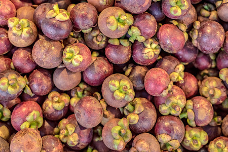 mangosteen, mangosteen background, mangosteen for sale, mangosteen fruit, mangosteen in the marketの写真素材