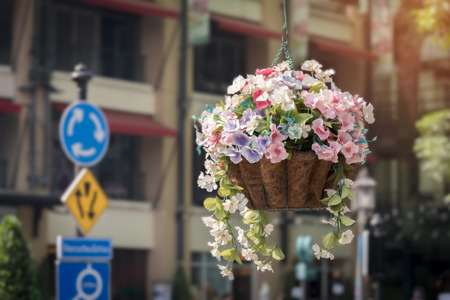 Beautiful different color of plastic flower decoration hang on tree branch.の写真素材