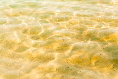Sand under clear water ripple background, yellow coloration use for backgroundの写真素材