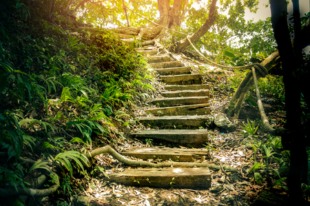 wood stairs made from concrete, walkway in hiking path to tourism in national park