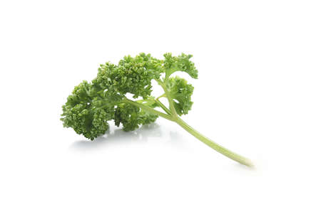 Fresh green leaves of pasley isolated on white backgroundのeditorial素材