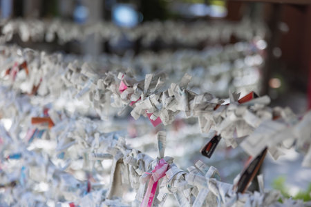 A fortune telling slip at Tomioka Shrine closeup