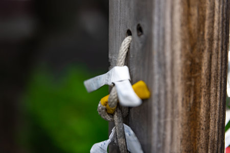 A fortune telling slip at Tomioka Shrine closeup