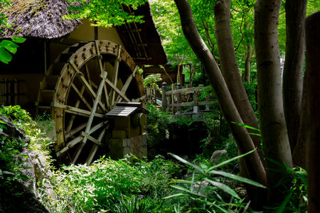 A historic wooden wheel on the water surface in Tokyoの写真素材