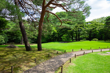 A Japanese garden at the public green park wide shotの写真素材