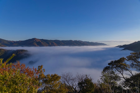 A sea of clouds at the top of the mountain in Kyotoの写真素材
