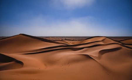 A sand dune of sahara desert at Mhamid el Ghizlane in Moroccoの写真素材