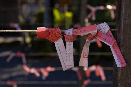 Fortune slips at Kameido Tenjin shrine in Tokyo close upの写真素材