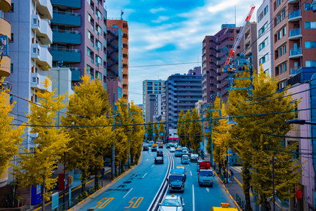 A cityscape of traffic jam at the yellow gingko street in Tokyoの写真素材