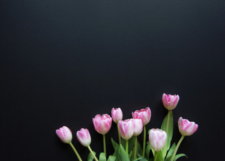 Tulips on a black wooden background , texturesの写真素材