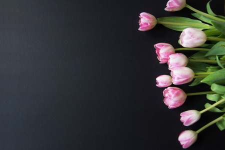 Tulips on a black wooden background , texturesの写真素材