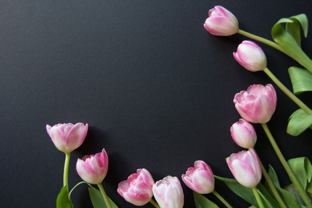 Tulips on a black wooden background , texturesの写真素材