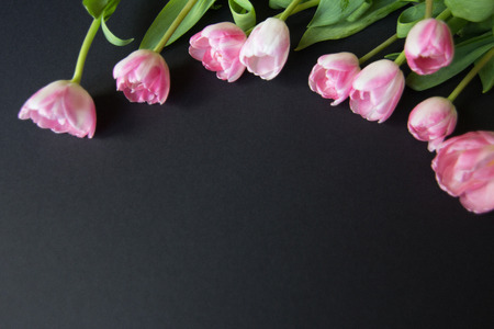 Tulips on a black wooden background , texturesの写真素材