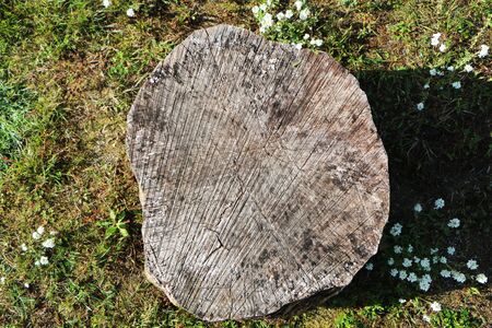 Closeup - beautiful gray wooden background on green grass