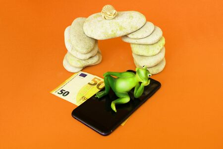 The frog lies on the smartphone and on the money.の写真素材