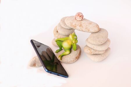 Close-up - frogs on the stones watching news on a smartphone.の写真素材