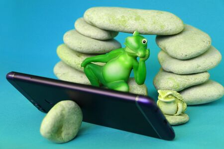 Close-up - frogs on the stones watching news on a smartphone.