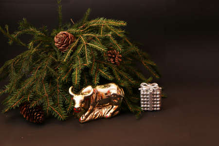 Bull as a symbol of New Year and Christmas 2021 on a black background of a Christmas tree and decor. Metal bull on the background of a green Christmas tree and gifts.の写真素材