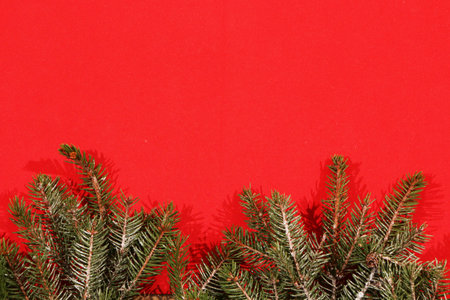 Christmas and New Year background. Fir branches with cones lie on a red background.