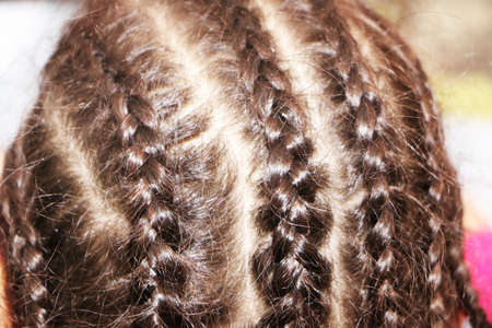 The black hair on the child's head is braided in pigtails.の写真素材