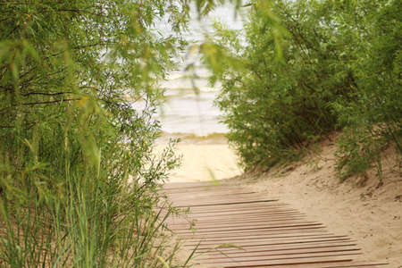 Wooden footbridge to the beach by the sea. The sandy beach has a wooden walkway to the sea. Tourist trail to the sea.の写真素材