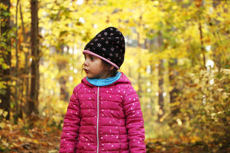 A girl in the autumn in the park collects yellow leaves of trees. A child in a red jacket walks in the autumn park.の写真素材