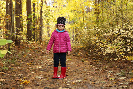 A girl in the autumn in the park collects yellow leaves of trees. A child in a red jacket walks in the autumn park.の写真素材