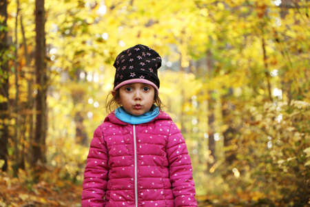 A girl in the autumn in the park collects yellow leaves of trees. A child in a red jacket walks in the autumn park.の写真素材