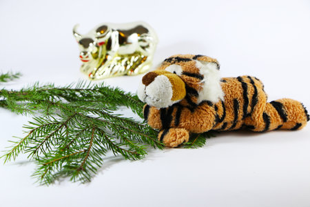 Christmas festive decor with a tiger on a white background.の写真素材
