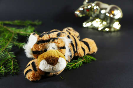 Christmas festive decor with a tiger on a black background.の写真素材