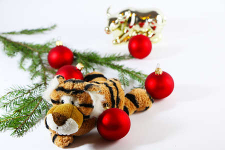 Christmas festive decor with a tiger on a white background.の写真素材