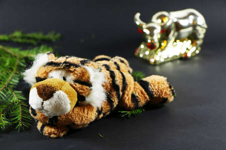 Christmas festive decor with a tiger on a black background.の写真素材