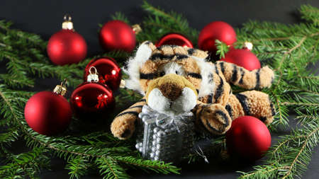 Festive decorations for the new year and christmas. Christmas festive decor with a tiger on a black background.の写真素材