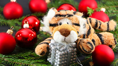 Festive decorations for the new year and christmas. Christmas festive decor with a tiger on a black background.の写真素材