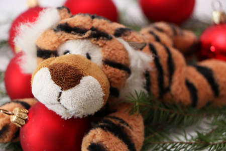 Christmas festive decor with a tiger on a white background.の写真素材