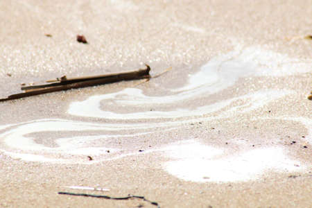 Creative background - ocean shore after a storm. Natural chaos on a sandy beach after a storm.の写真素材