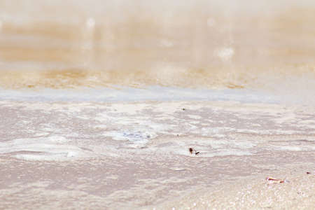 Creative background - ocean shore after a storm. Natural chaos on a sandy beach after a storm.の写真素材