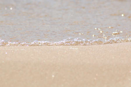 Creative background - ocean shore after a storm. Natural chaos on a sandy beach after a storm.