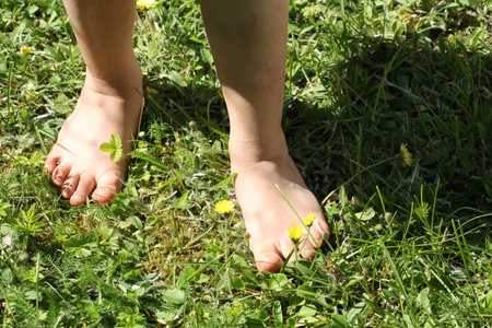 Feet of a child on a green lawn in summer. Close-up of a child barefoot on the lawn - a symbol of ecology.の写真素材