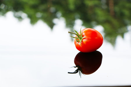 Fresh tomatoes on a black mirror background.の写真素材