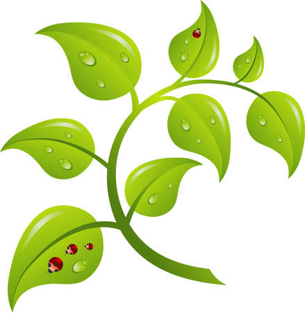 Green branch tree, vector illustrationのイラスト素材