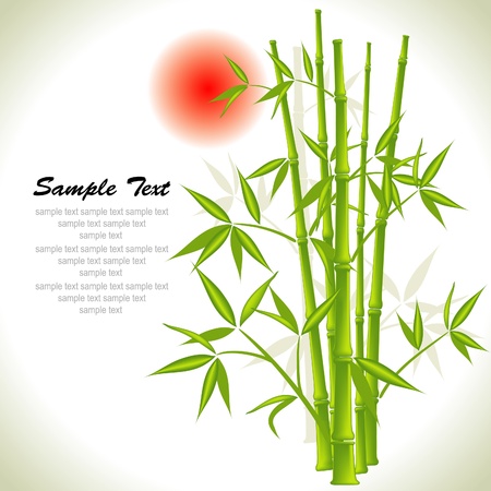 Bamboo background and sun, vector illustrationのイラスト素材