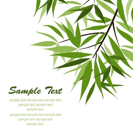 Bamboo background and sun, vector illustrationのイラスト素材