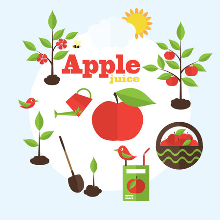 Vector garden illustration in flat style. Planting apple trees, harvesting, processing apples into juice.のイラスト素材